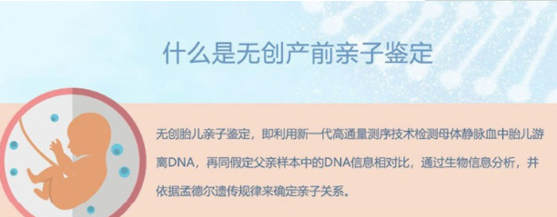 德宏怀孕了如何做血缘检测,德宏胎儿办理亲子鉴定需要提供什么