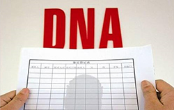 德宏DNA亲子鉴定机构，德宏亲子鉴定怎么做